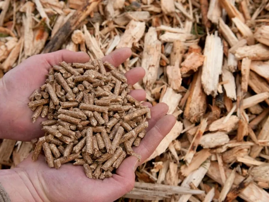 Biomass wood pellets held in hands over wood chips