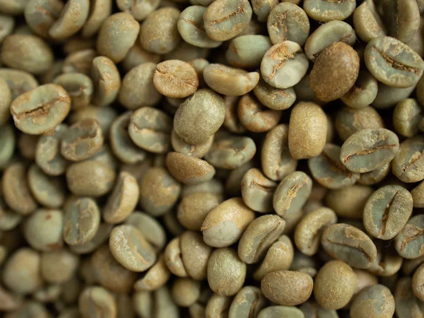 Close-up of green unroasted coffee beans